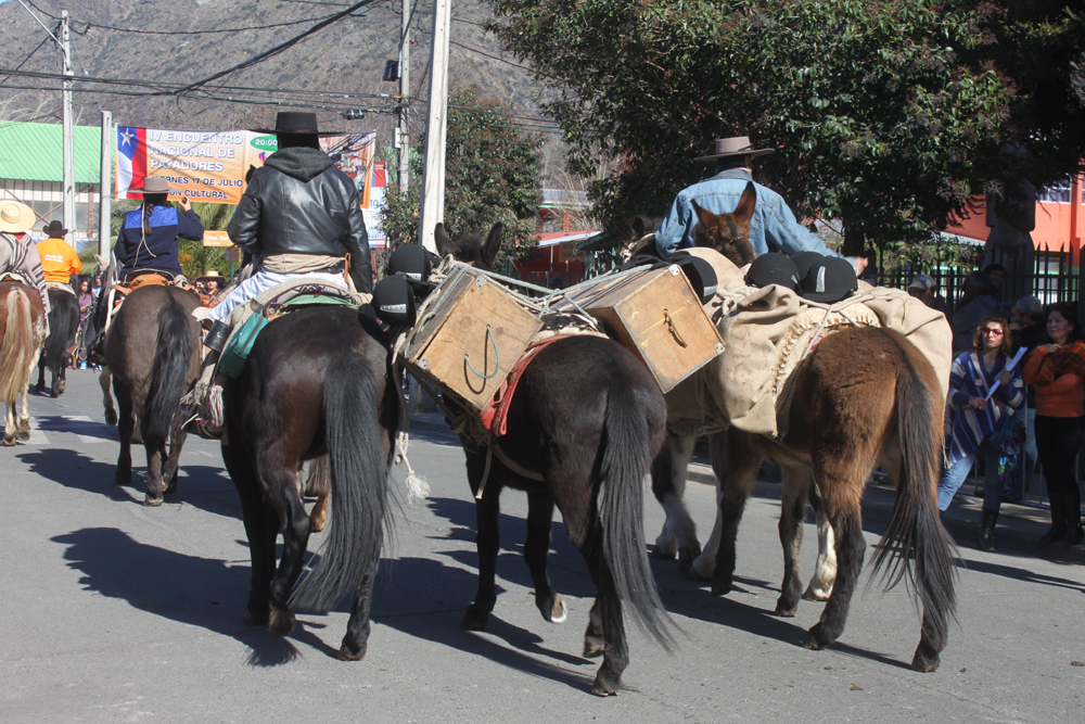 aniversario-223-san-josc3a9-de-maipo-turismo-ecuestre-16